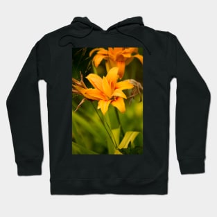 blb yellow lily Hoodie